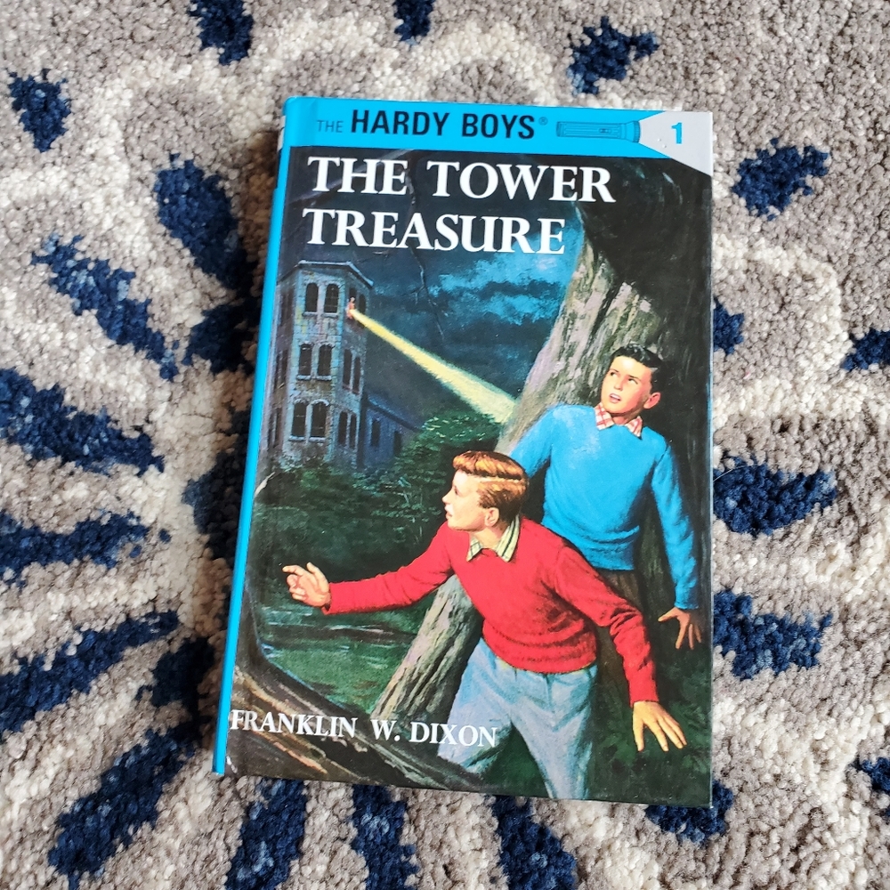 Hardy boys book